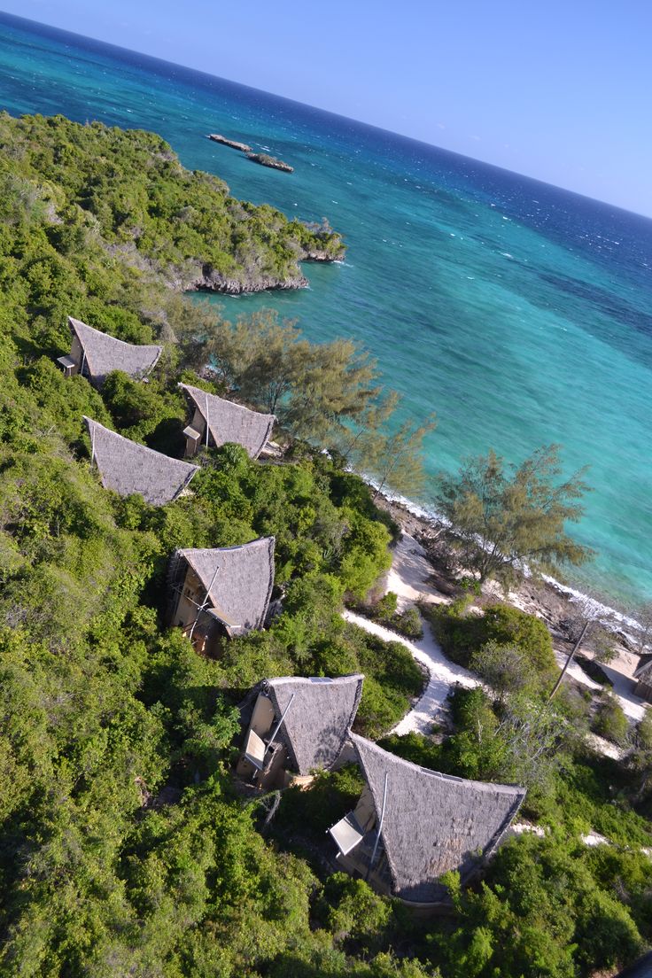 Row of thatched cliffside bungalows perched above the turquoise Indian Ocean along a Zanzibar nature reserve.