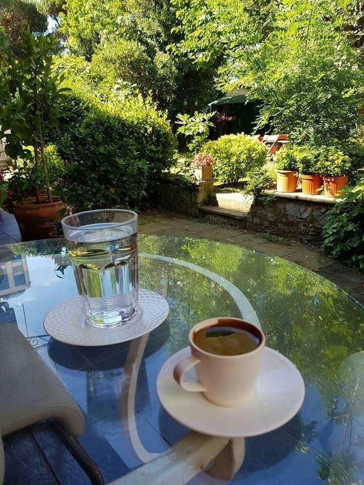 Freshly brewed coffee and a glass of water on a garden table surrounded by lush greenery at a boutique lodge.