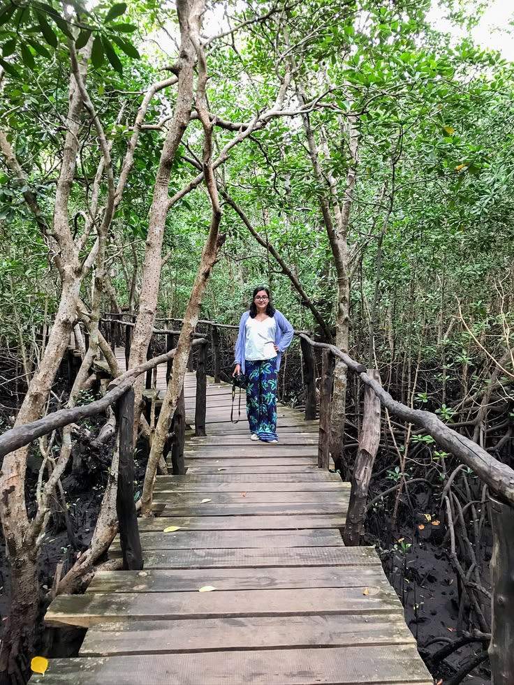 Traveller posing on a wooden boardwalk under arching mangrove tree branches in Jozani Forest, Zanzibar.