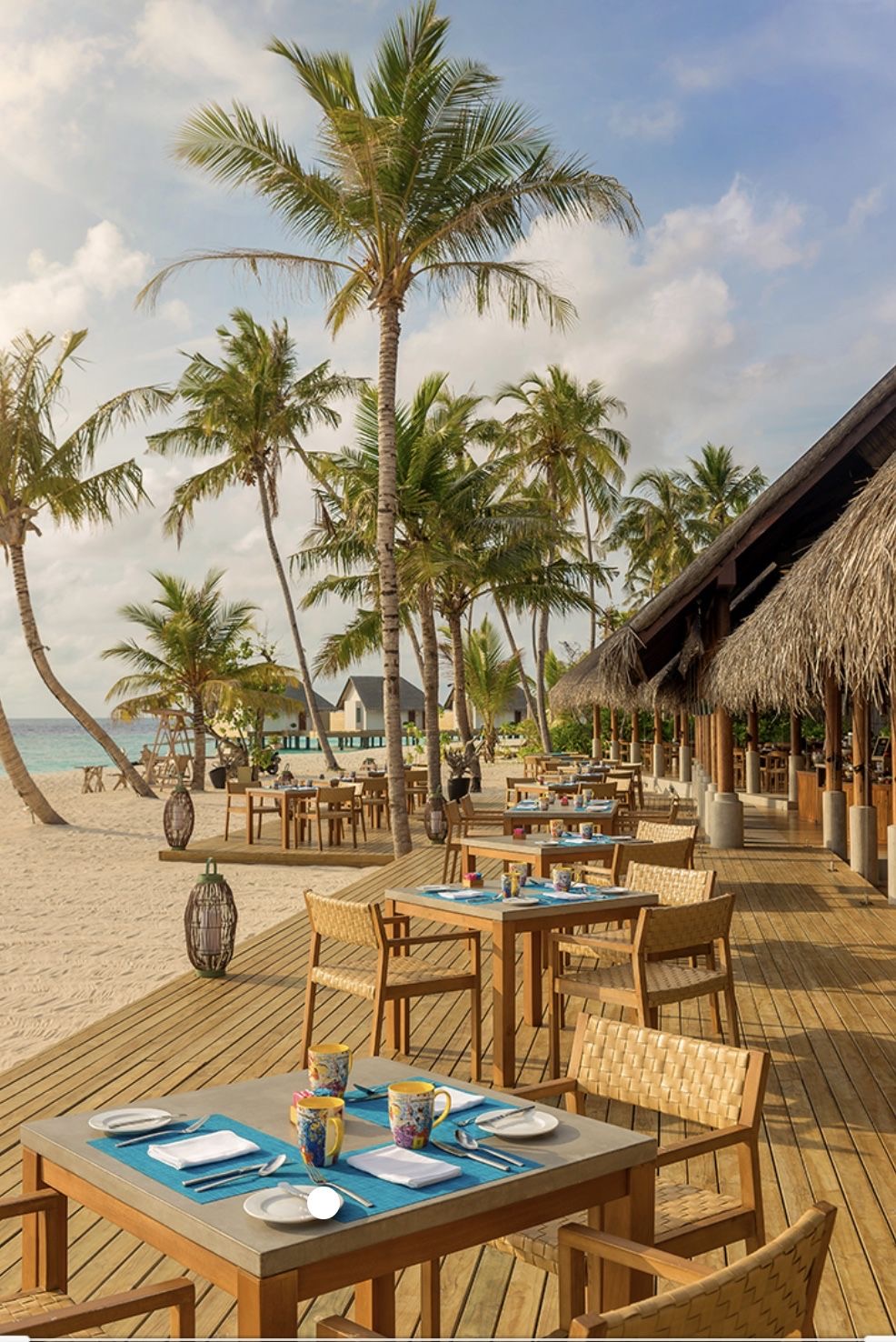 Beachfront thatched restaurant deck with palm trees at sunrise