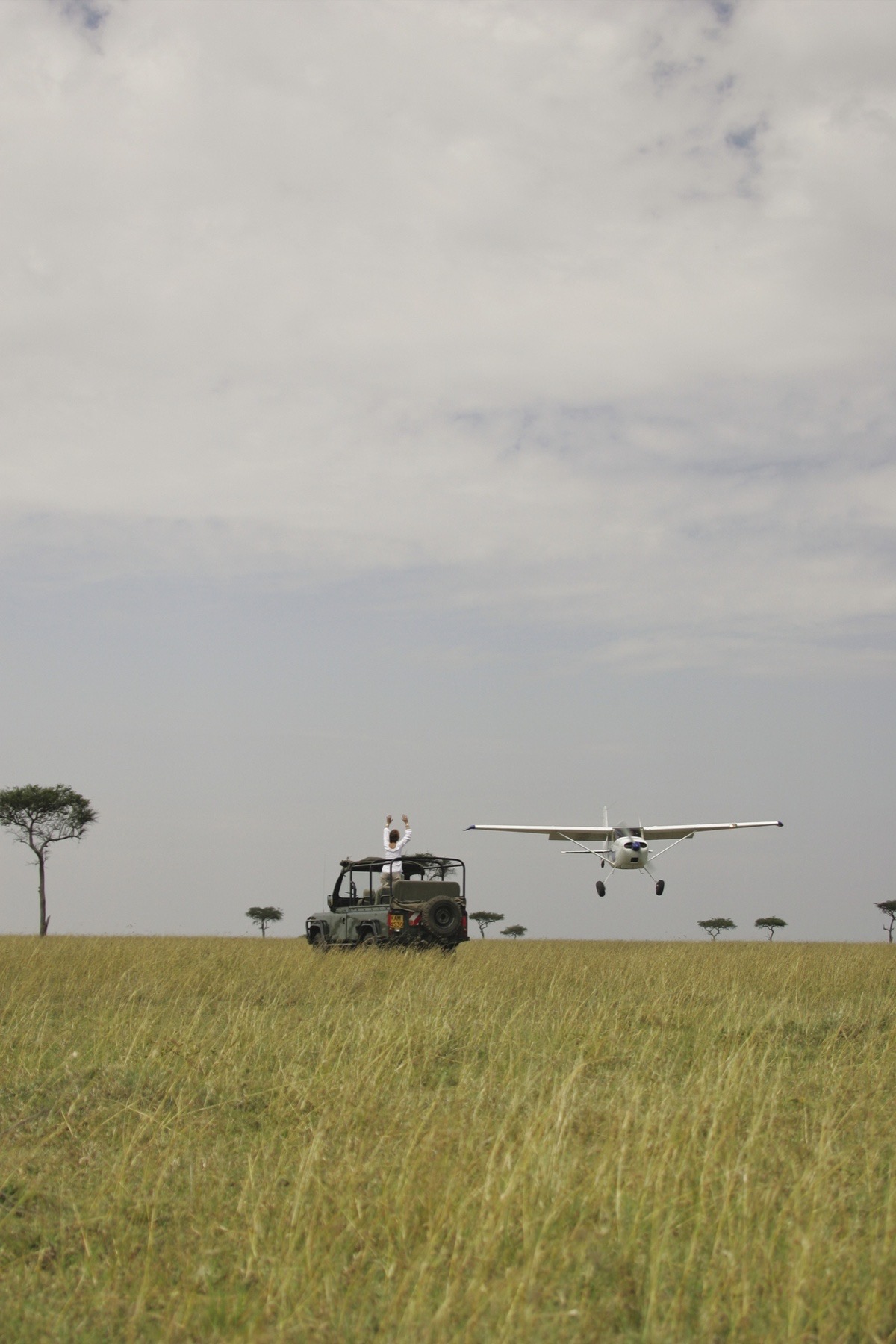 Cessna bush plane landing next to a safari vehicle on the Mara savannah