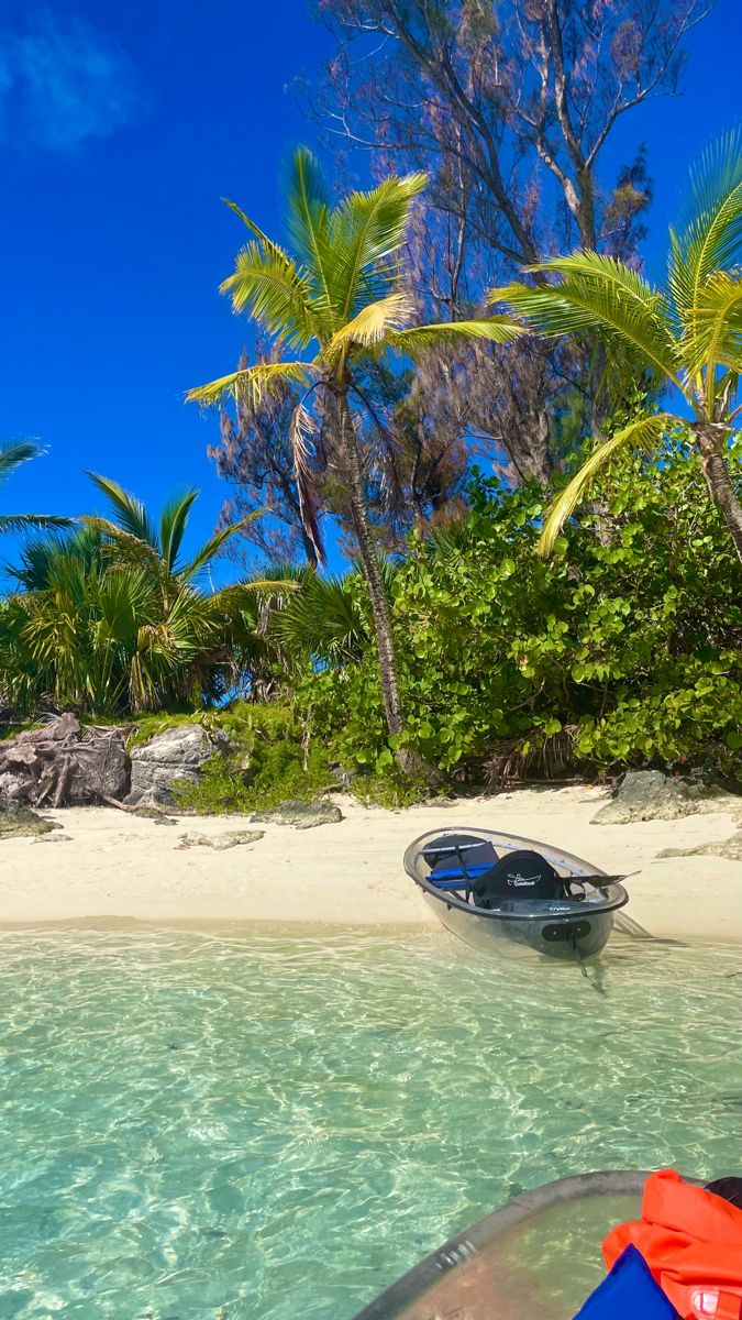 Transparent kayak floating on crystal-clear turquoise shallows beside a palm-fringed white-sand Zanzibar beach.