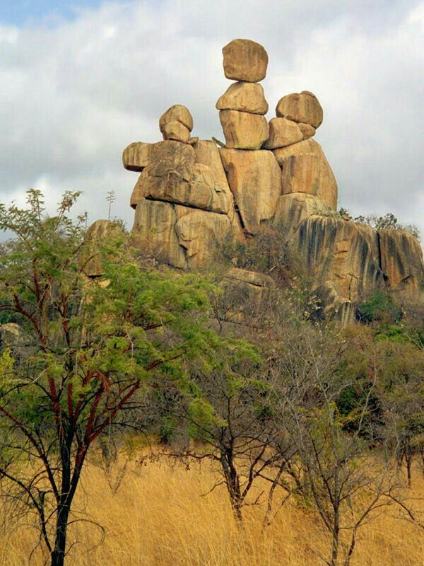 Dramatic granite balancing rock formation rising above golden grass and acacia bushland.