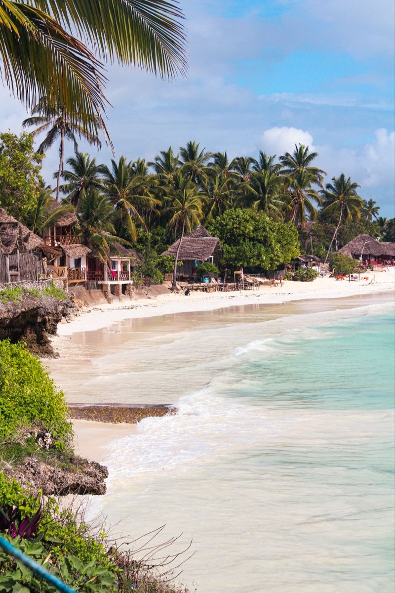 Palm-lined Paje village beach with thatched bungalows and gentle waves on the south-east coast of Zanzibar.