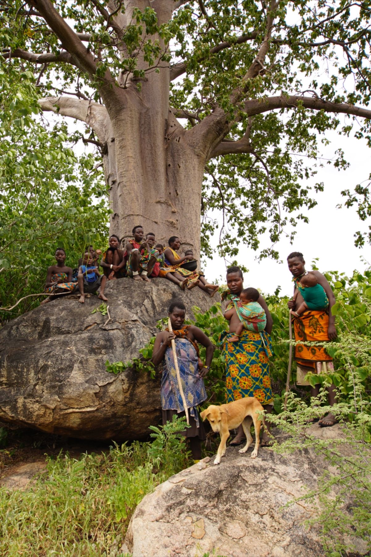 Baobab Communities of the Rift — Great Rift Valley