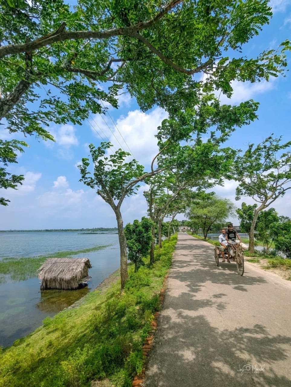 Tree-lined lakeside road with a cyclist passing a calm green lake and a thatched fishing shelter.
