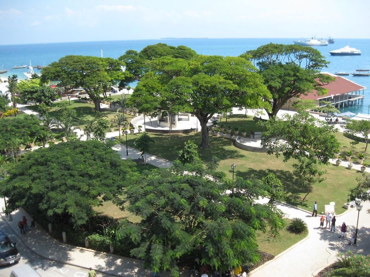 Lush green canopy of Forodhani Gardens park beside the Stone Town harbour and Indian Ocean ferries in Zanzibar.